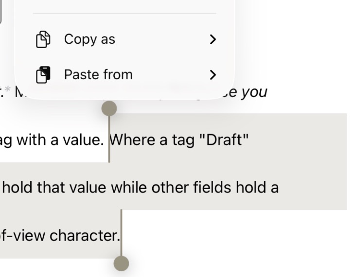 The Copy as and Paste from menus in the iOS selection context menu