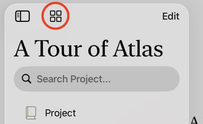 The Organizer on iPadOS showing the back to projects button