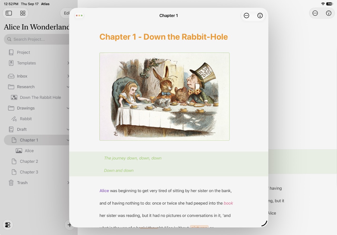 An image embedded in the Editor on iOS