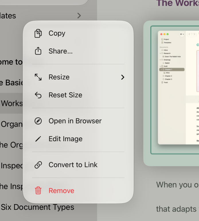 The image context menu on iOS